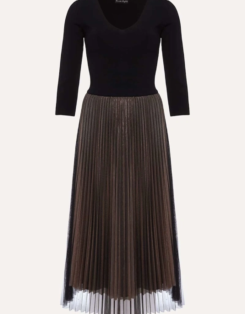 Rayen Pleated Mesh Skirt Dress