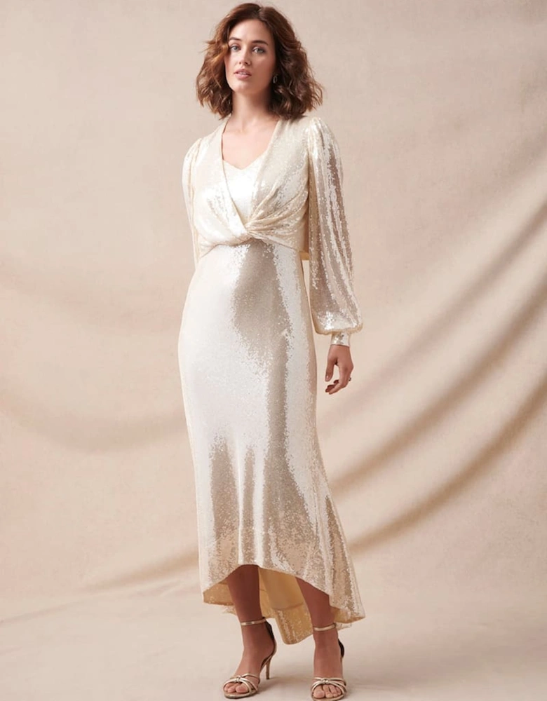 Jamila Sequin Overlay Maxi Dress