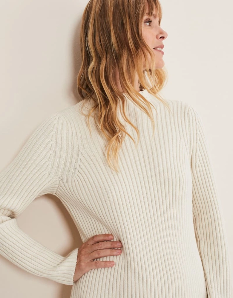 Catherine Chunky Ribbed Knit Dress