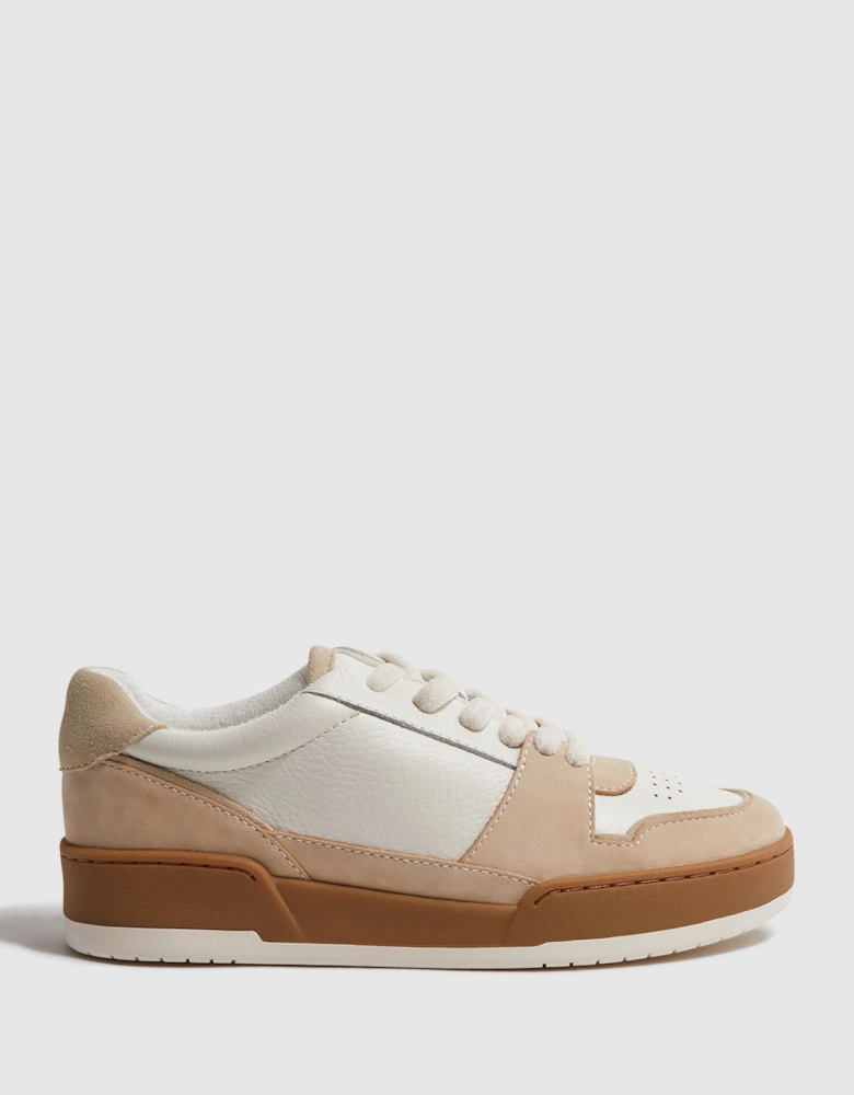 Leather Suede Low Cut Trainers