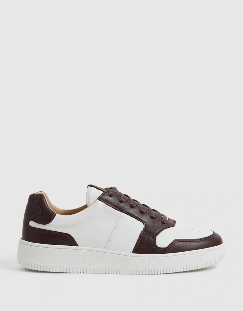 Low Top Leather Trainers