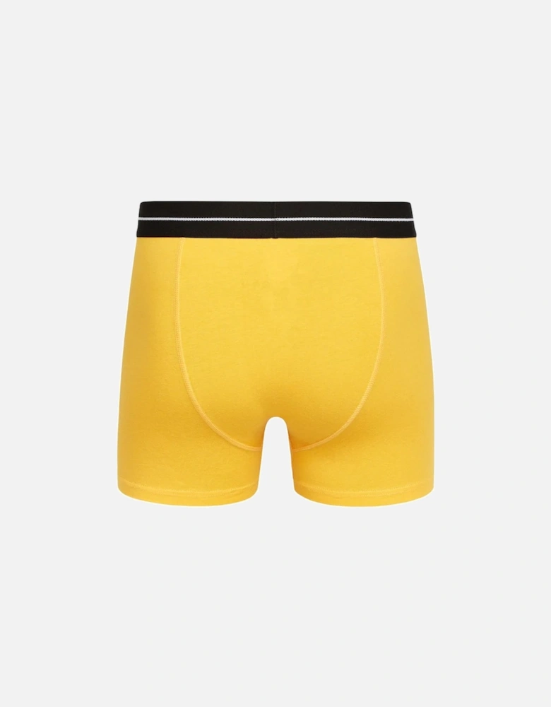 Mens Hexter Boxer Shorts (Pack of 2)