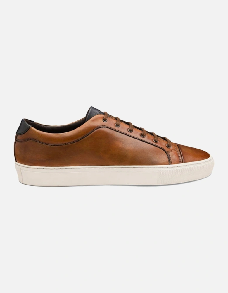 Dash Hand Painted Calf Sneaker Chestnut