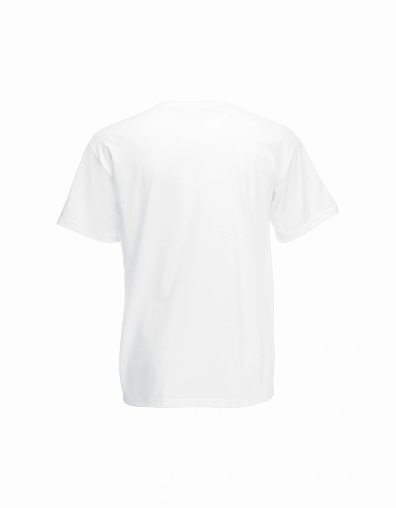 Mens Valueweight V-Neck, Short Sleeve T-Shirt