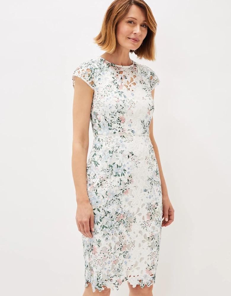 Franky Floral Lace Fitted Dress