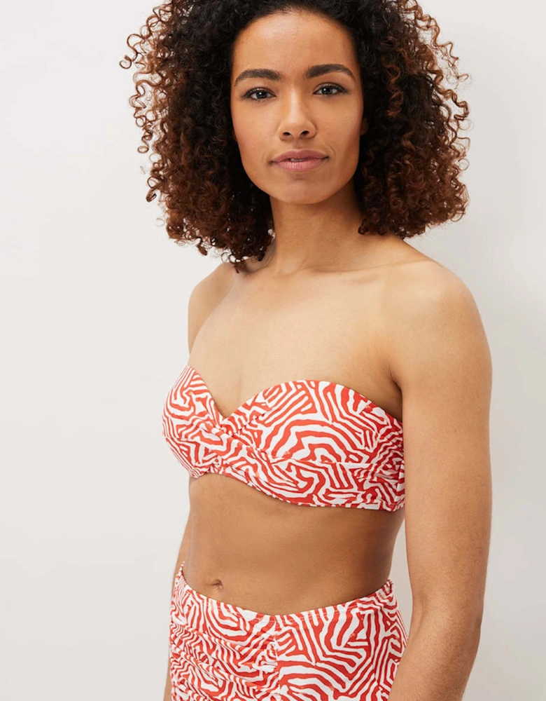 Isabelle Zebra Bikini Top