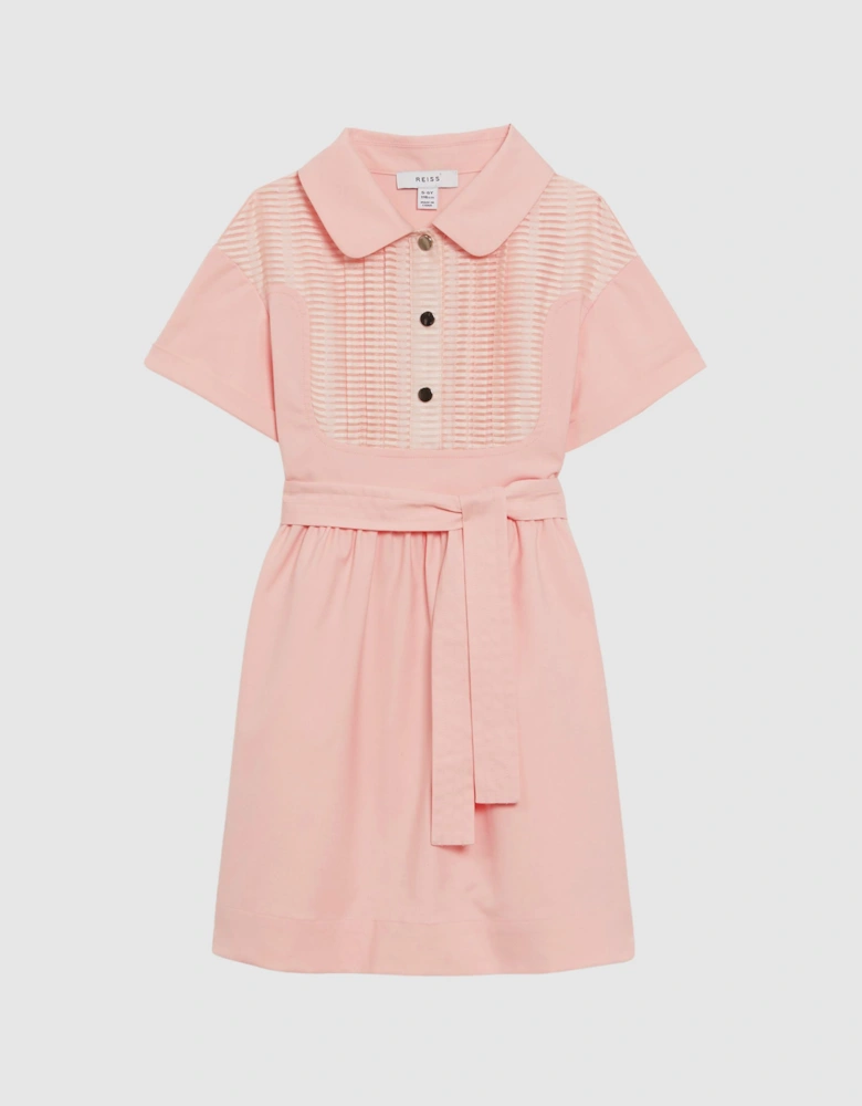 Collared Belted Short Sleeve Dress