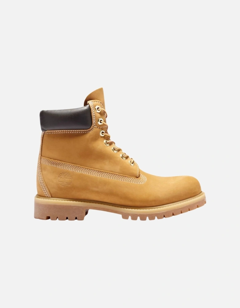 Classic 6 Inch Premium - Wheat