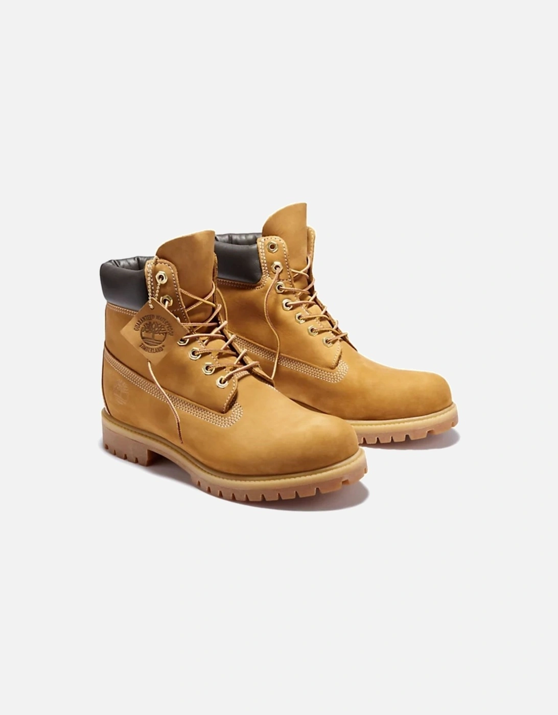 Classic 6 Inch Premium - Wheat