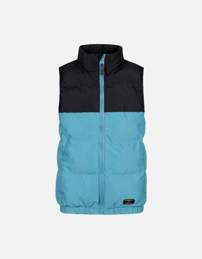 Womens/Ladies Stony Padded Gilet