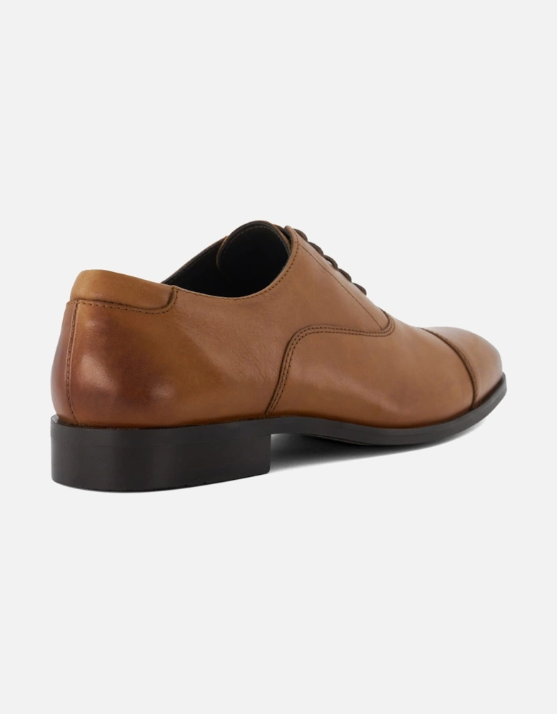 Mens Stormingg - Smart Oxford Shoes