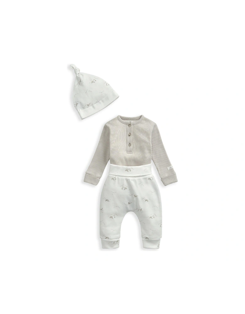 Unisex Baby 3 Piece Stork My First Outfit - Grey