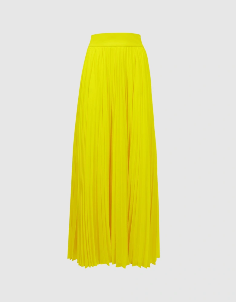 Florere Pleated Maxi Skirt