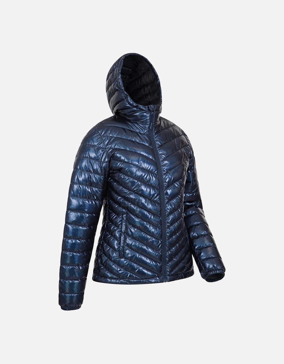 Womens/Ladies Seasons Padded Jacket