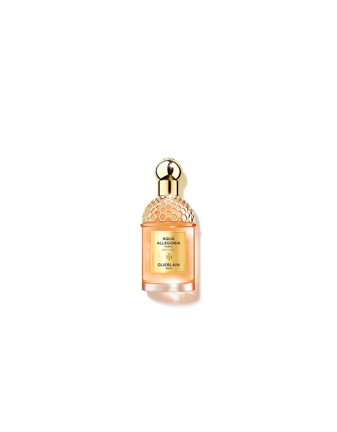 Aqua Allegoria Forte Oud Yuzu Eau de Parfum 75ml, 2 of 1