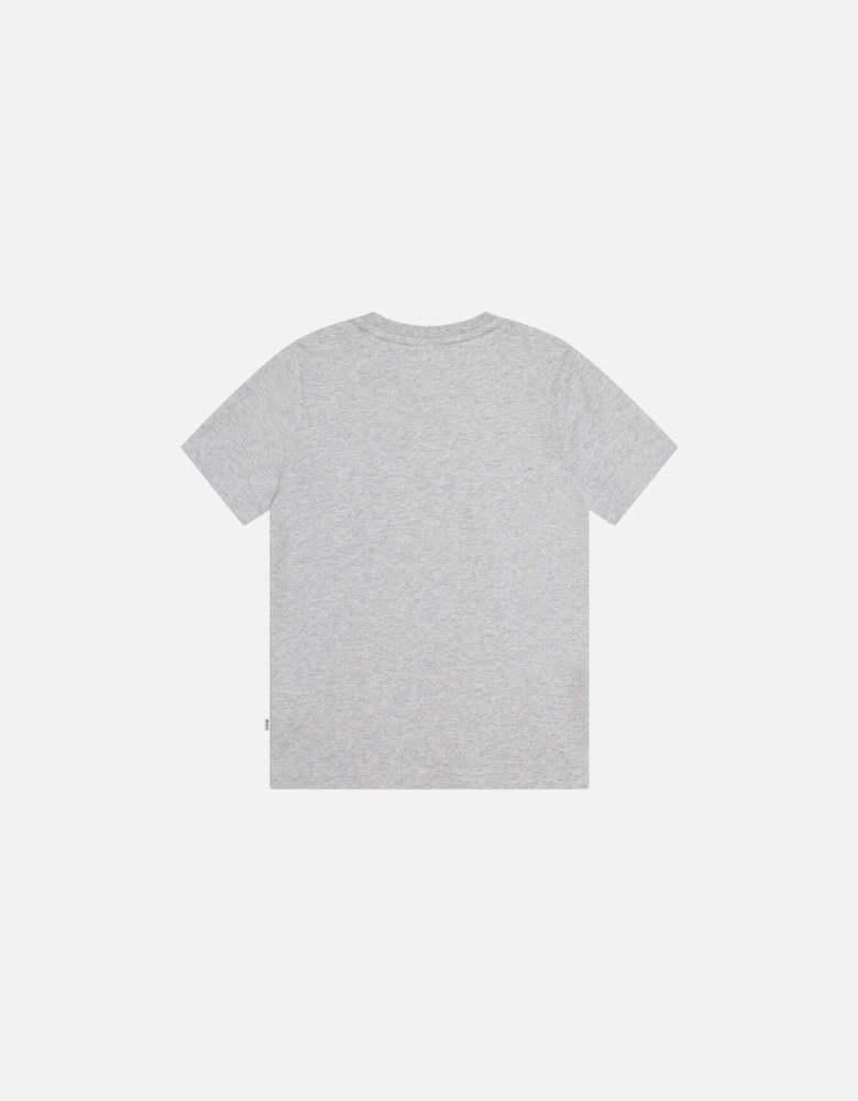 Boys Grey Short Sleeve Cotton T-Shirt