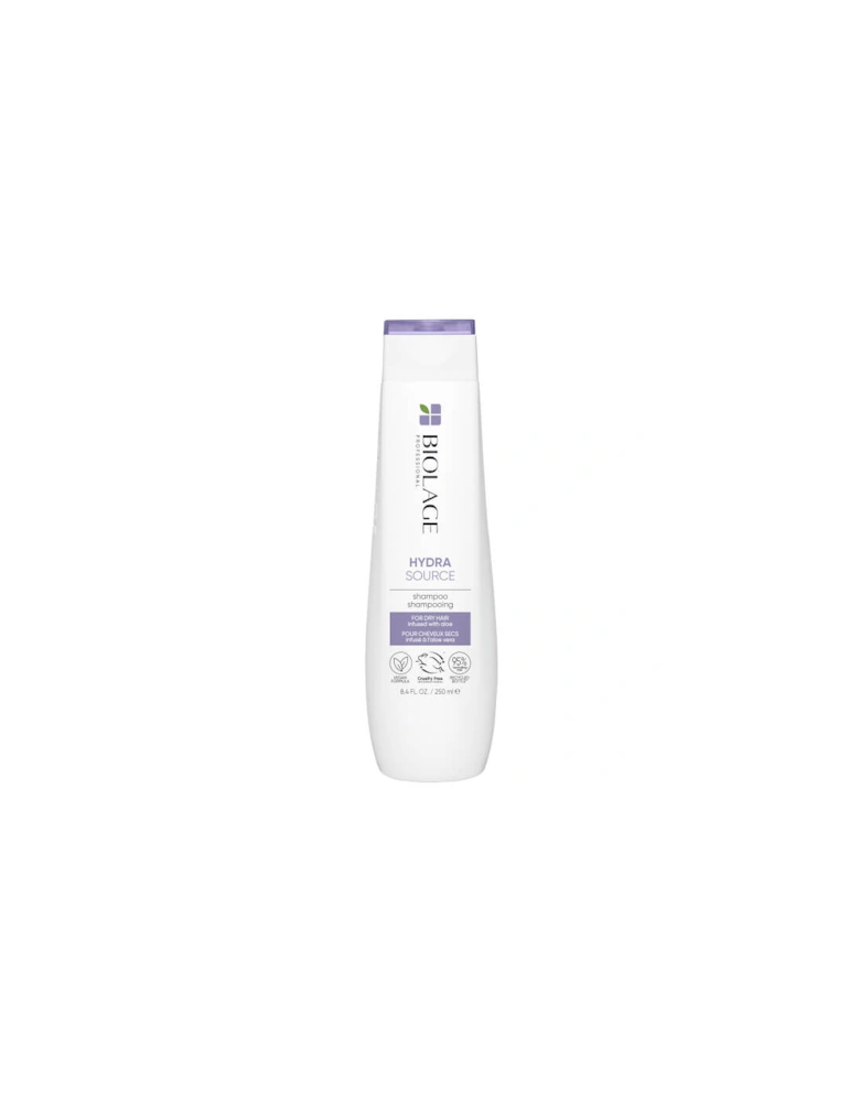 HydraSource Hydrating Shampoo for Dry Hair 250ml - Biolage