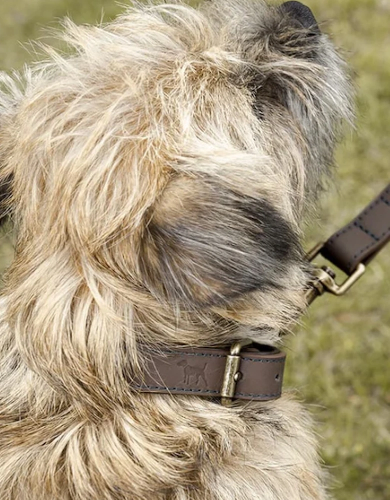 Woof Leather Dog Collar