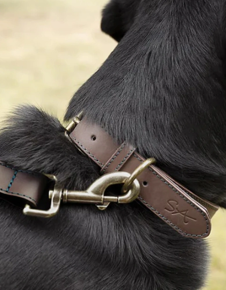 Woof Leather Dog Collar