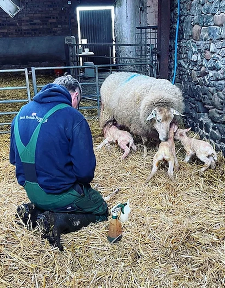 Back British Farming The Pro Hoodie Navy