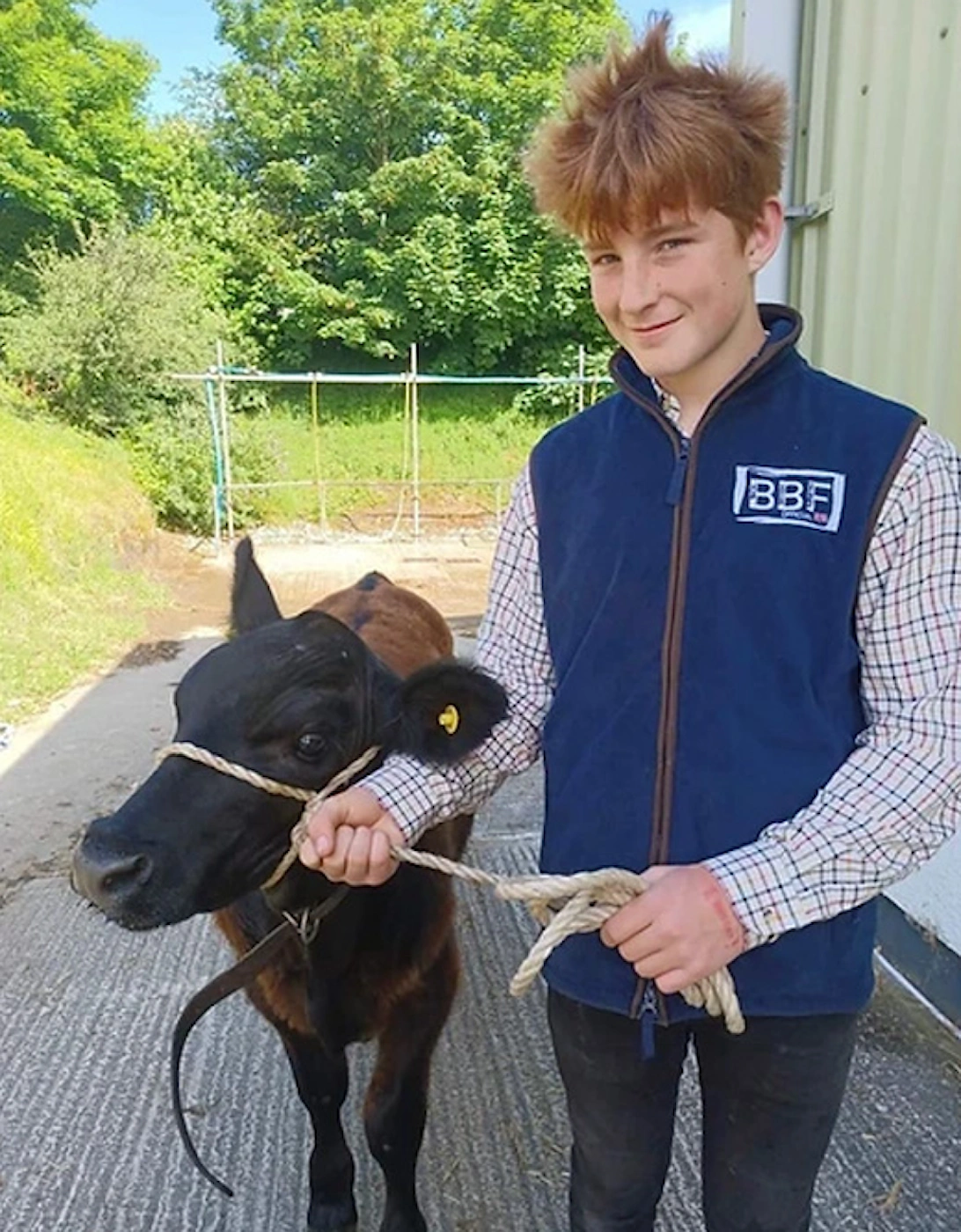 Back British Farming Men's Fleece Gilet Navy