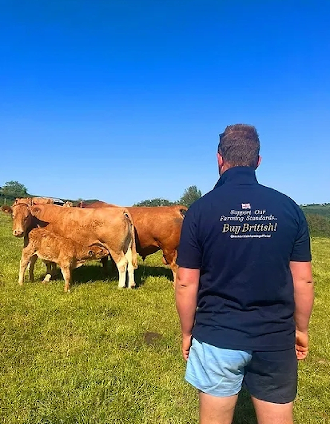 Back British Farming Men's Support Our Standards Buy British Polo Shirt Navy