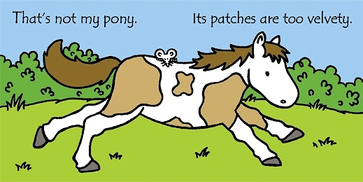 Touchy-Feely Books: That's Not My Pony…