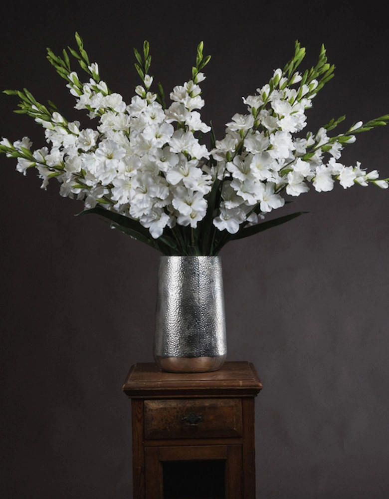 White Gladioli