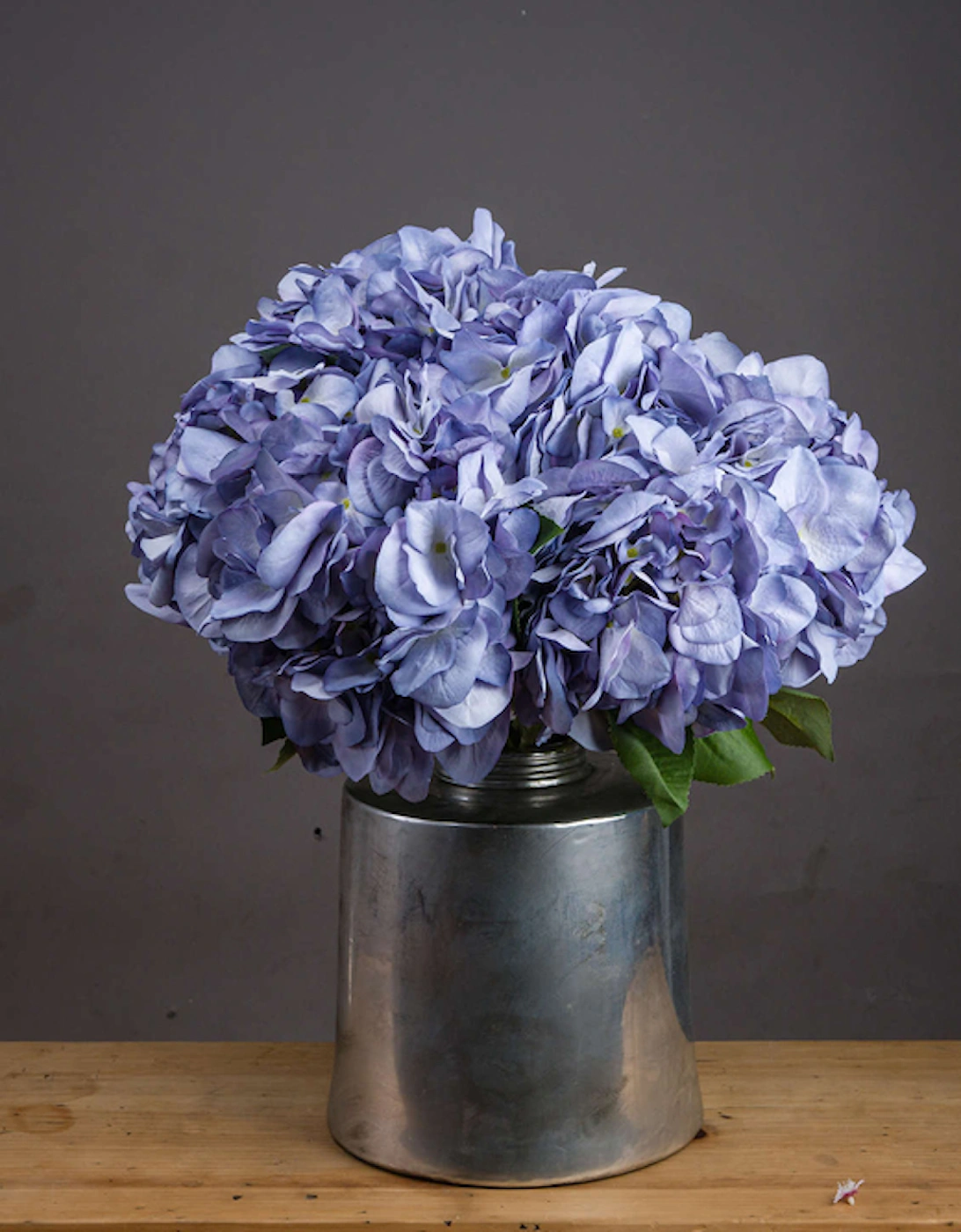 Lilac Hydrangea, 5 of 4