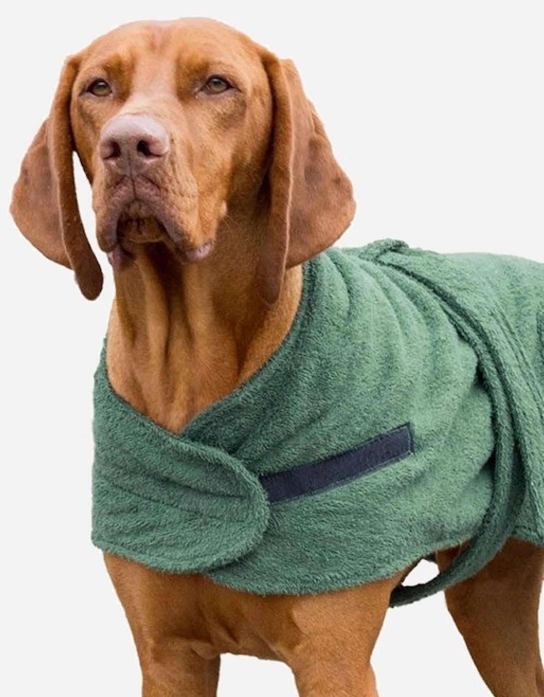 Danish Designs Dog Robe
