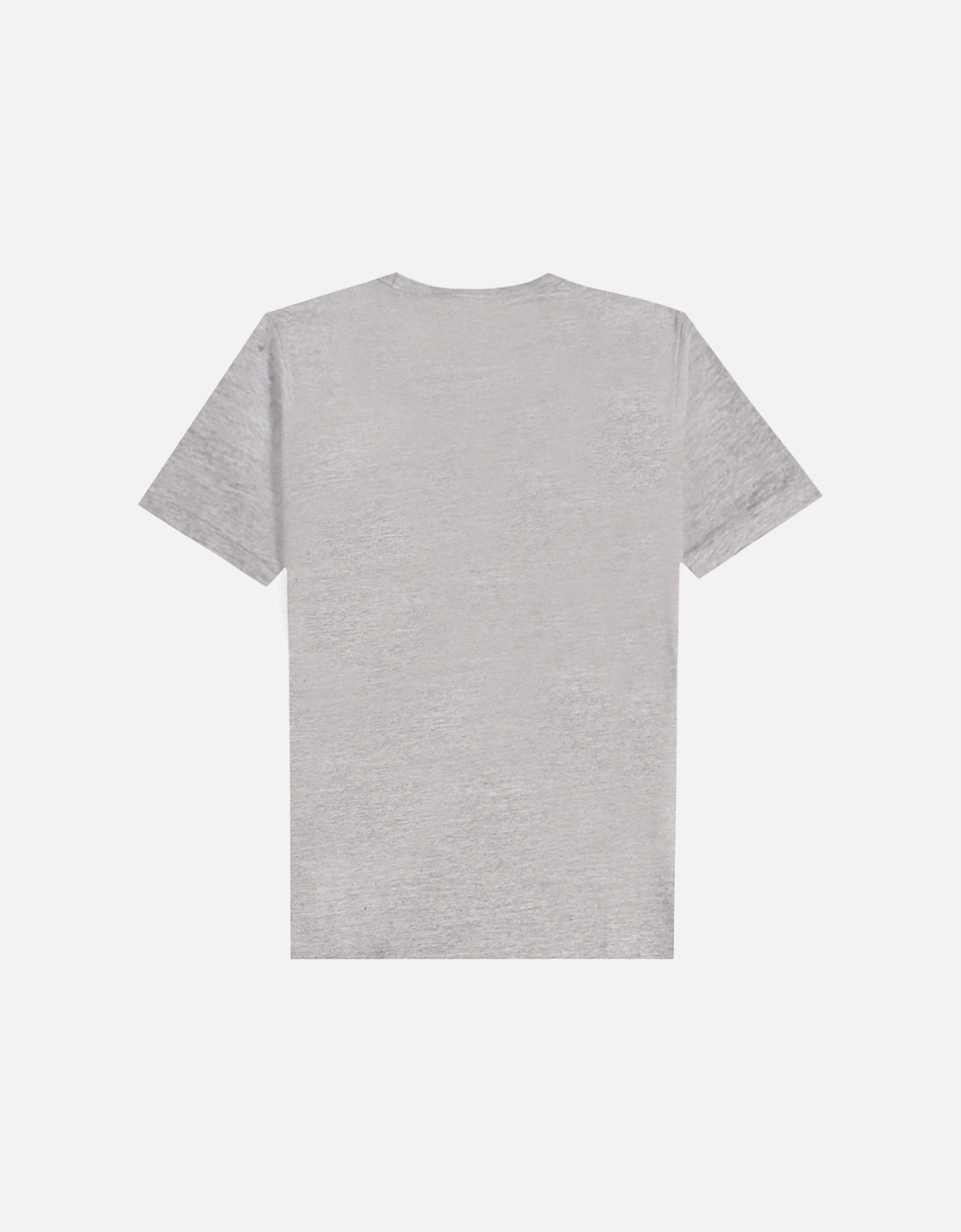 Men's  Mountain Crew Print T-Shirt Grey