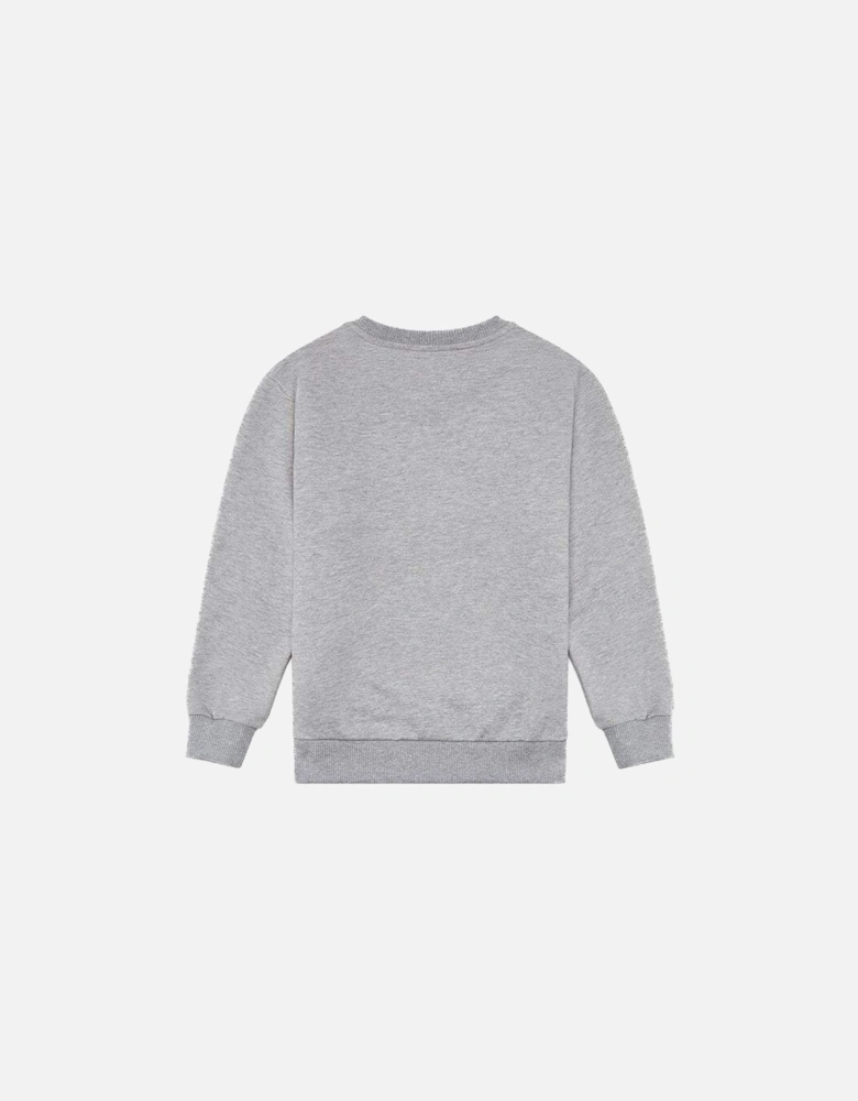 Boys Cotton Sweater Grey