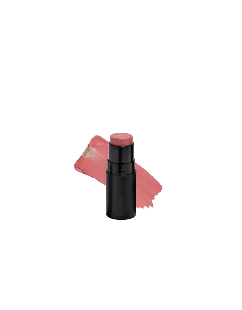 Nudies Matte and Glow Core All Over Face Blush Colour - Pink Ice