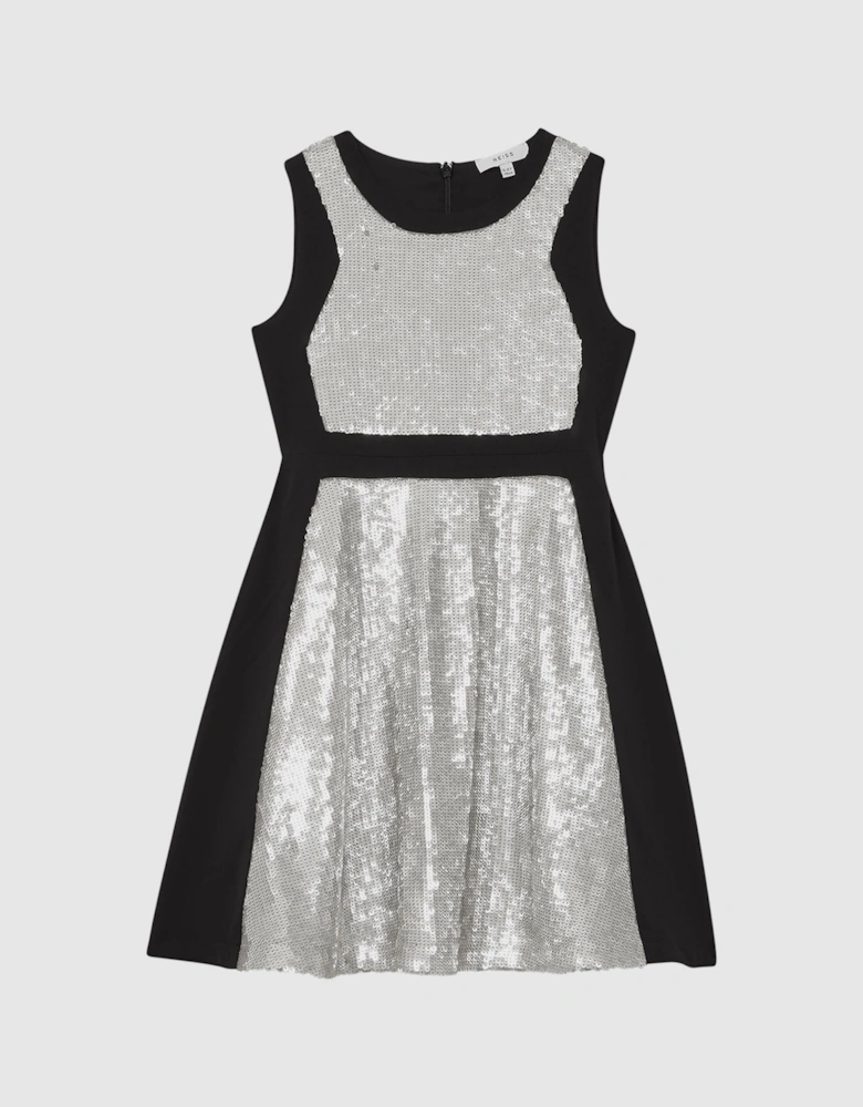 Relaxed Fit Sequin Dress