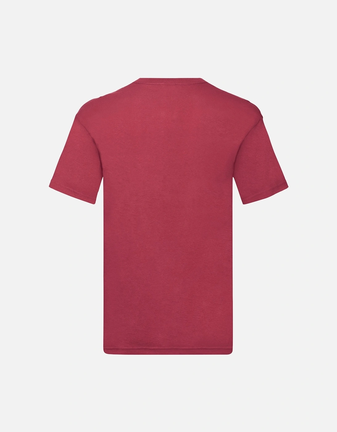 Mens Original Plain V Neck T-Shirt