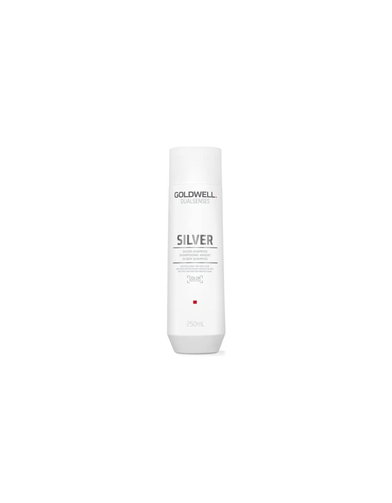Dualsenses Silver Shampoo 250ml - Goldwell