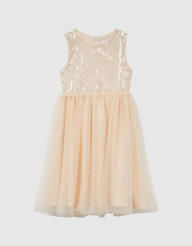 Sequin Tulle Dress