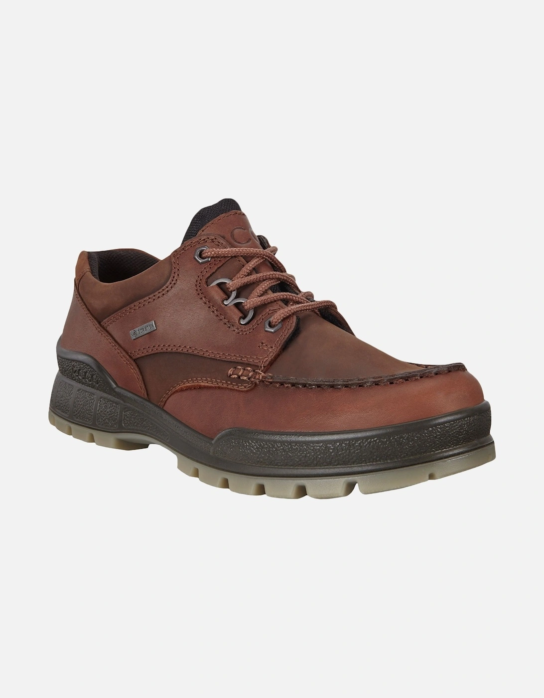 Mens Track 25 Low Gore-Tex Leather Shoes