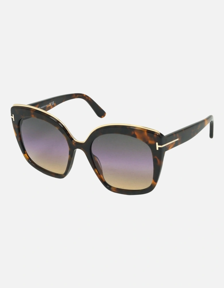 Chantalle FT0944 55B Brown Sunglasses