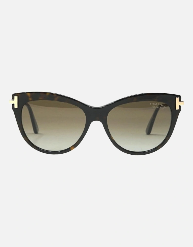 Kira FT0821 52H Dark Havana Sunglasses