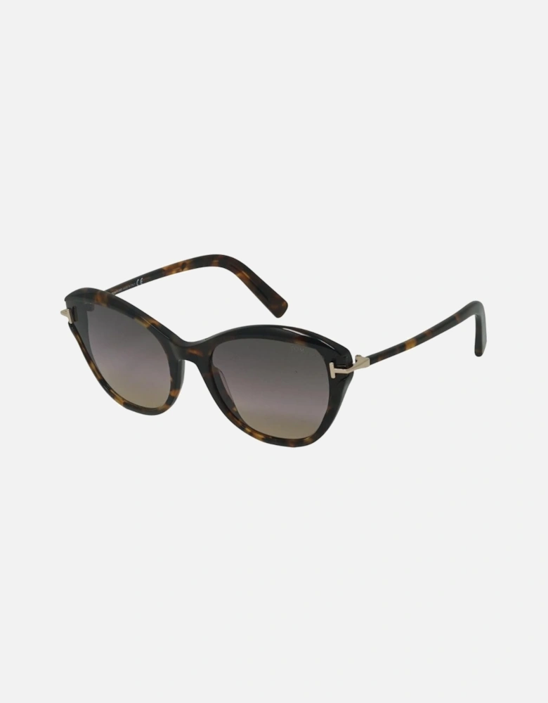 Leigh FT0850 55B Brown Sunglasses