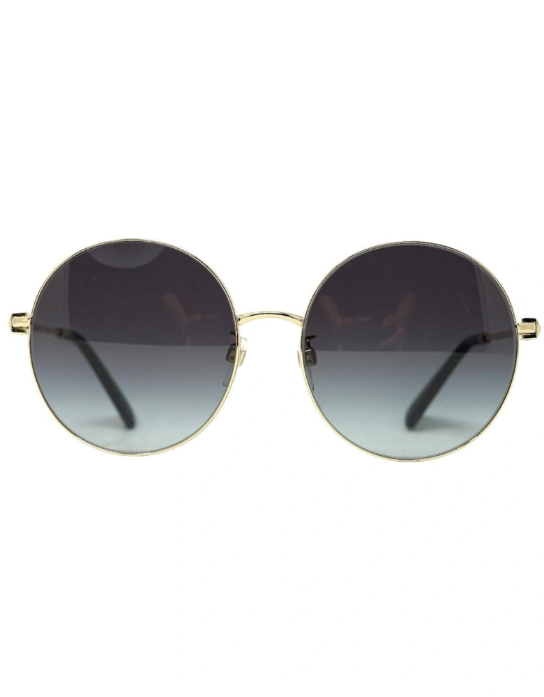 VA2050D 30038G Silver Sunglasses
