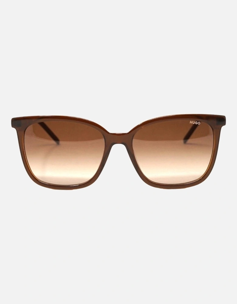 HG1080/S HA3 09Q Brown Sunglasses