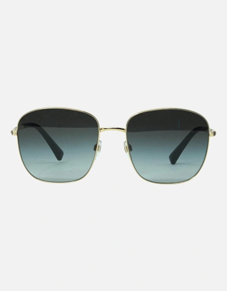 VA2046 30028G Gold Sunglasses