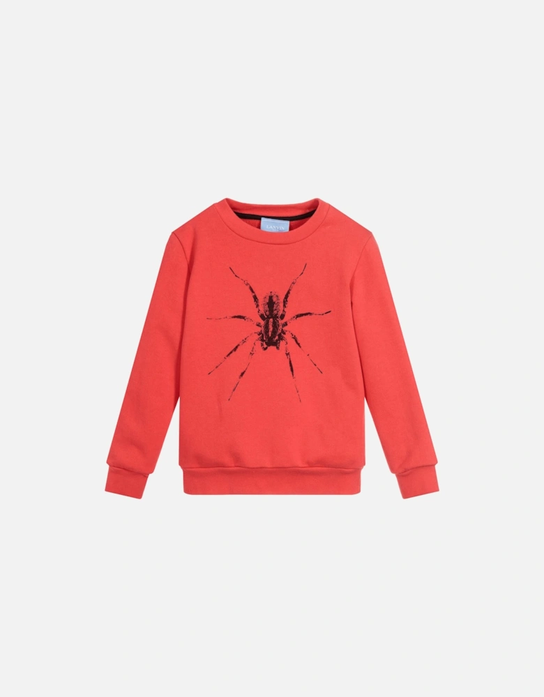 Paris Boys Spider Sweatshirt Red