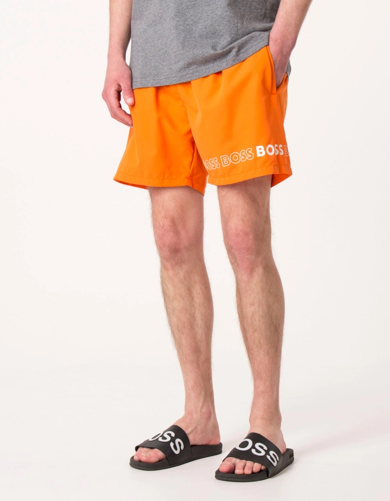 Regular Fit Dolphin Swim Shorts
