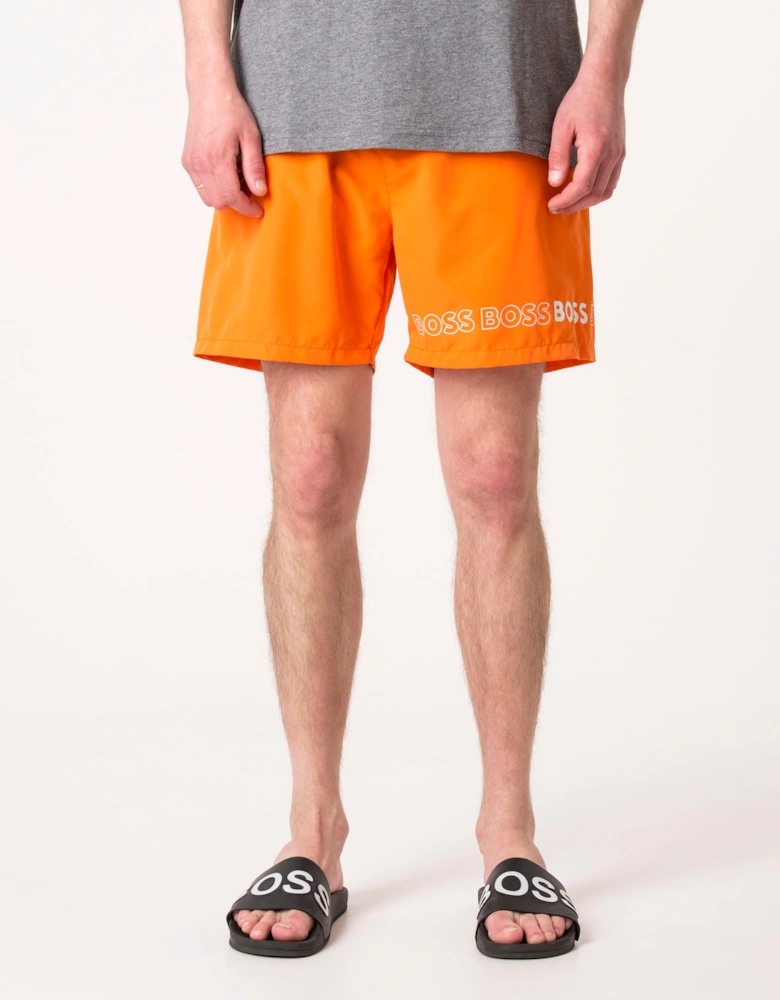 Regular Fit Dolphin Swim Shorts
