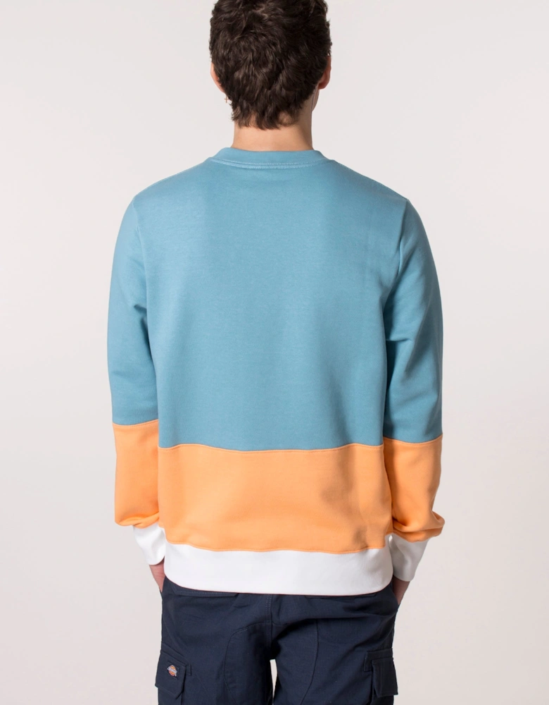 Colourblock Zebra Logo Sweatshirt
