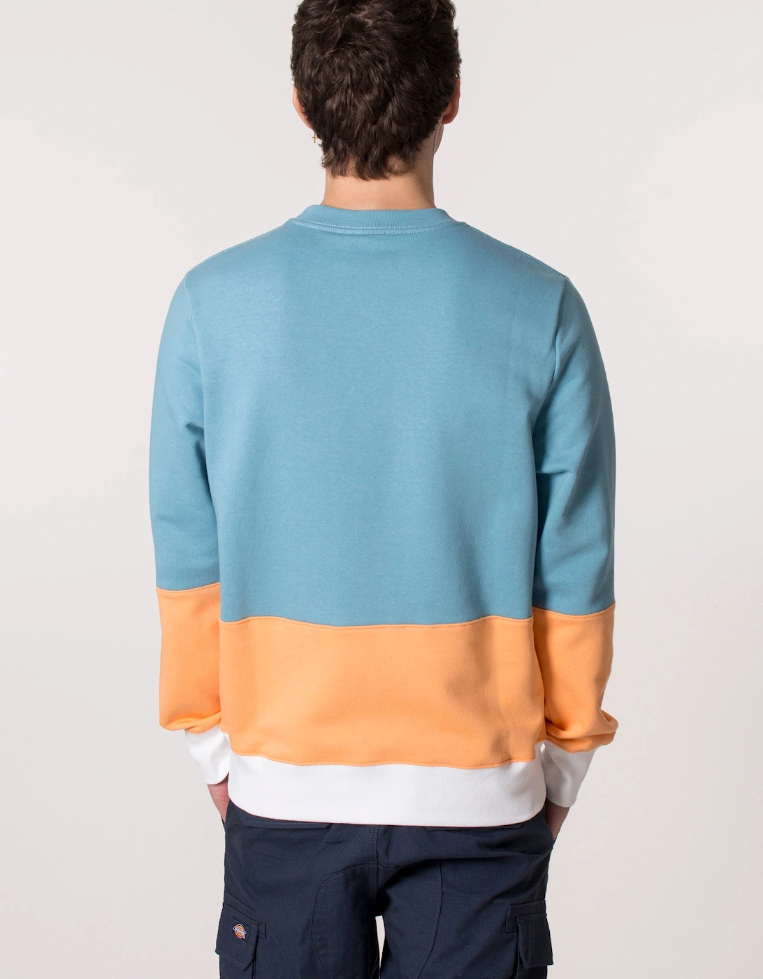 Colourblock Zebra Logo Sweatshirt