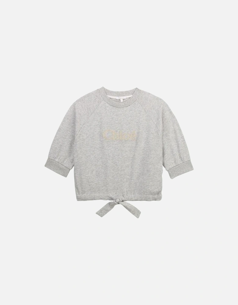 Girls Grey Cropped Logo Sweatshirt